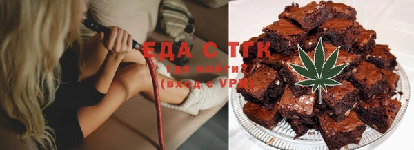 стаф Алзамай