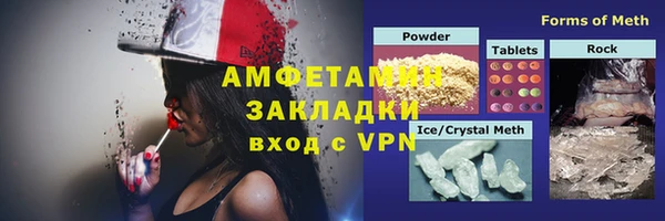 стаф Алзамай