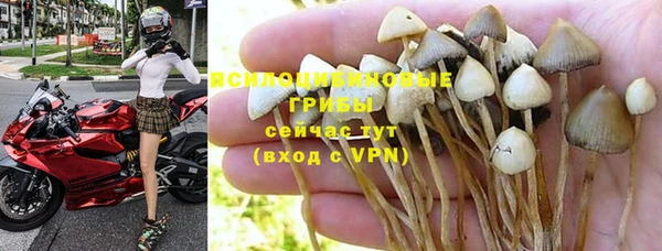 спиды Аркадак