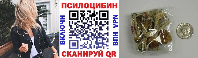 Псилоцибиновые грибы Psilocybine cubensis цена наркотик Дорогобуж